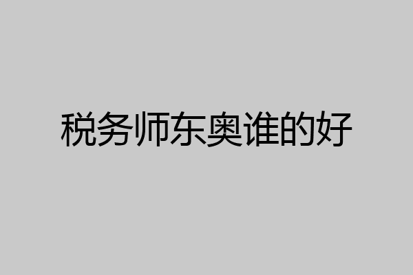 税务师东奥谁的好