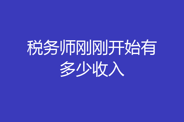 税务师刚刚开始有多少收入