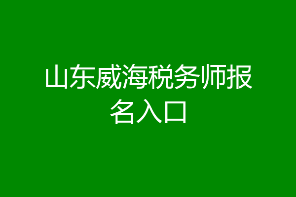 山东威海税务师报名入口