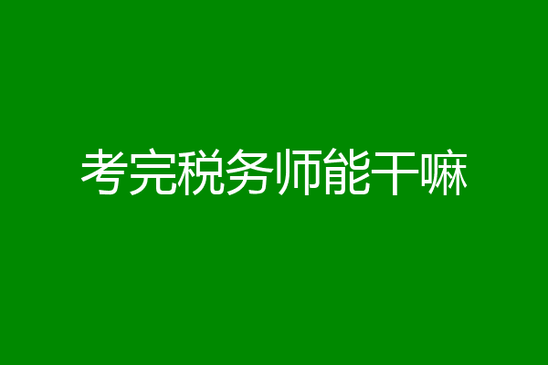 考完税务师能干嘛