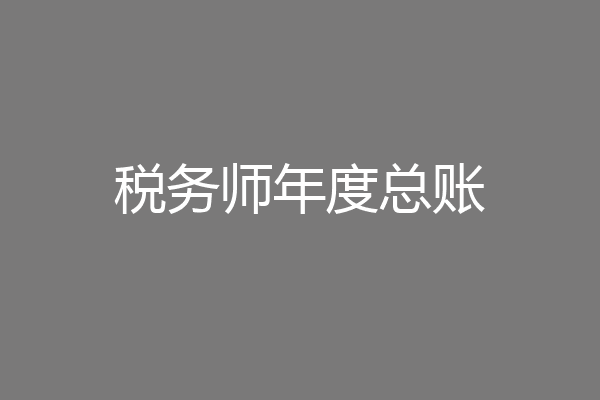 税务师年度总账