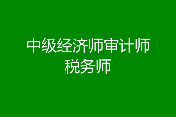 中级经济师审计师税务师