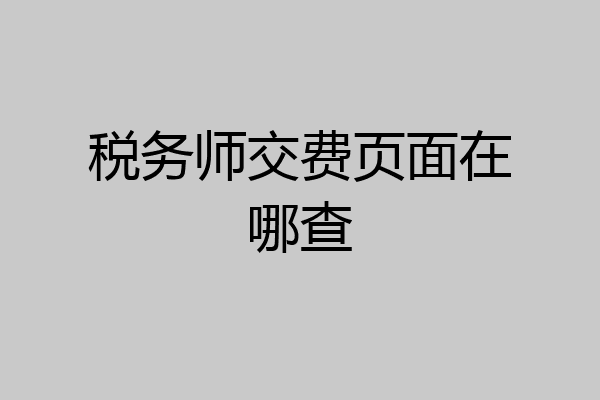 税务师交费页面在哪查