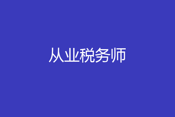 从业税务师