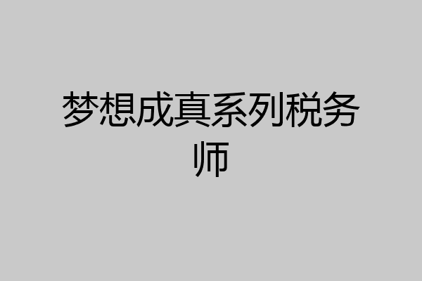 梦想成真系列税务师