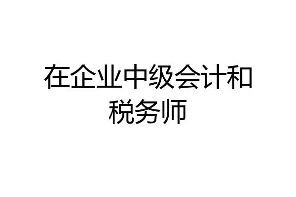 在企业中级会计和税务师