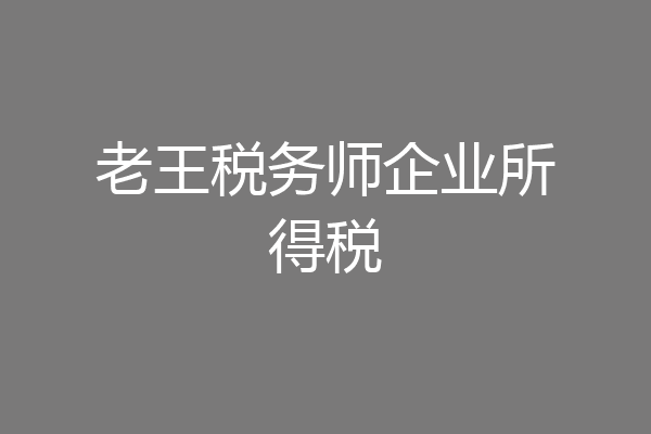老王税务师企业所得税