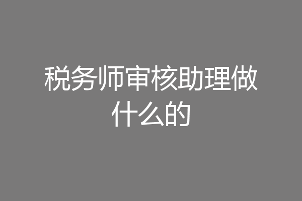 税务师审核助理做什么的