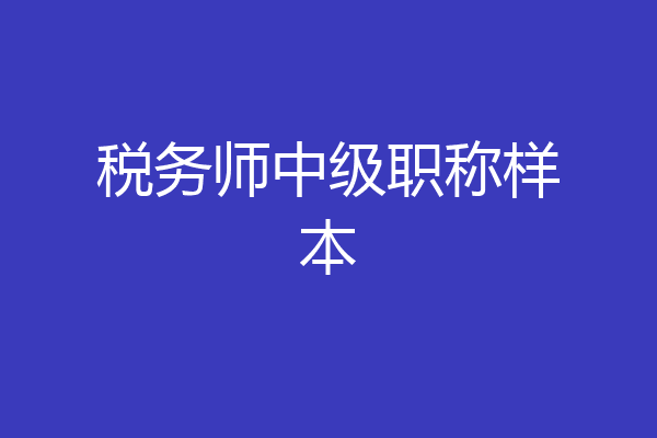 税务师中级职称样本