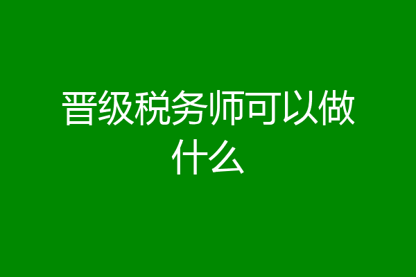 晋级税务师可以做什么