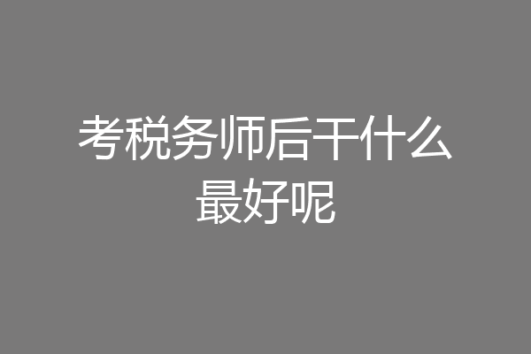 考税务师后干什么最好呢