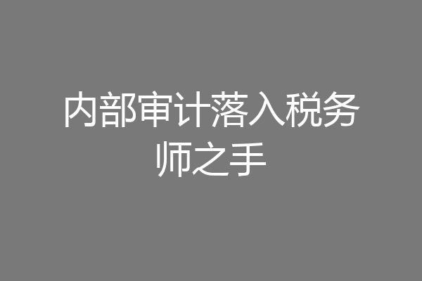 内部审计落入税务师之手