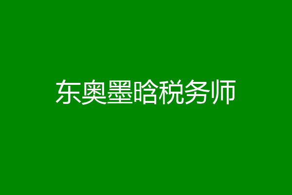 东奥墨晗税务师