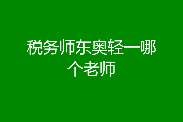 税务师东奥轻一哪个老师