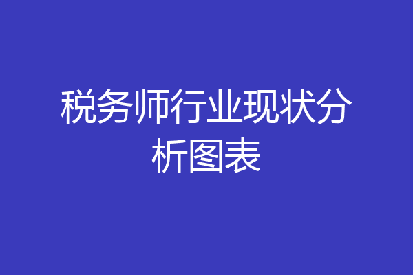 税务师行业现状分析图表