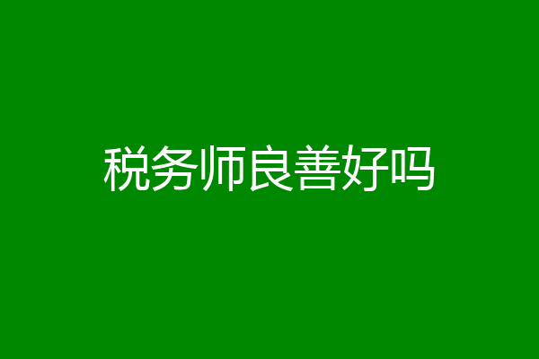 税务师良善好吗