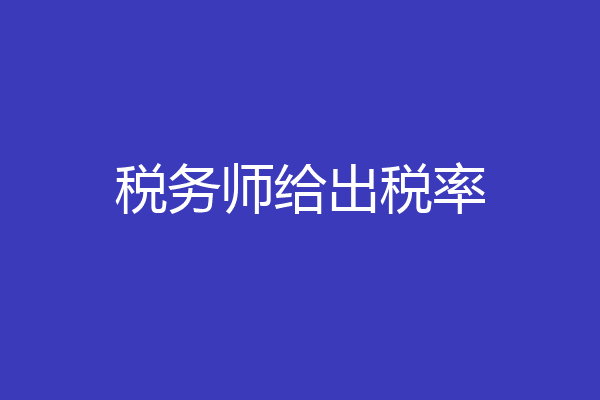税务师给出税率