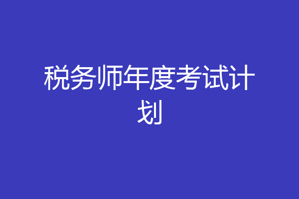 税务师年度考试计划