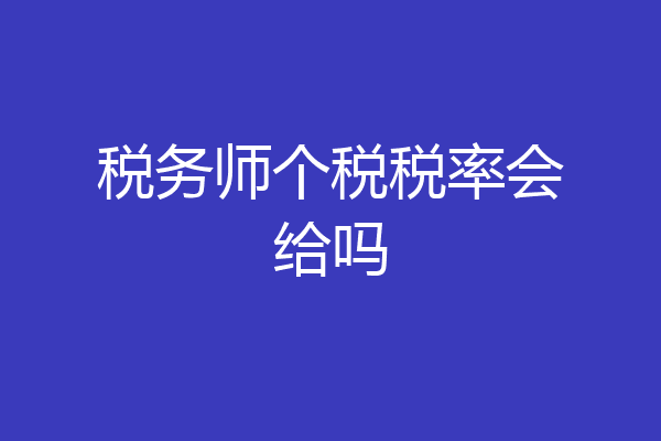 税务师个税税率会给吗