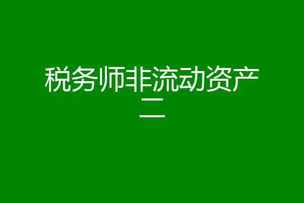税务师非流动资产二