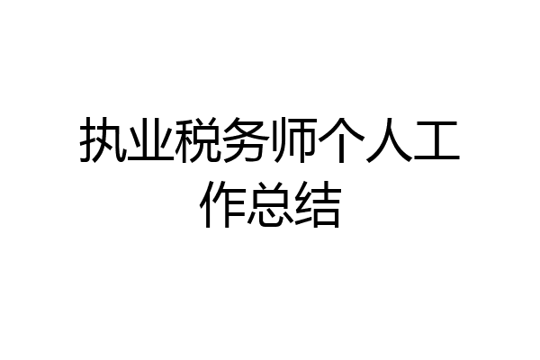 执业税务师个人工作总结