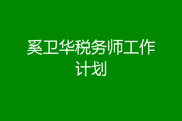 奚卫华税务师工作计划