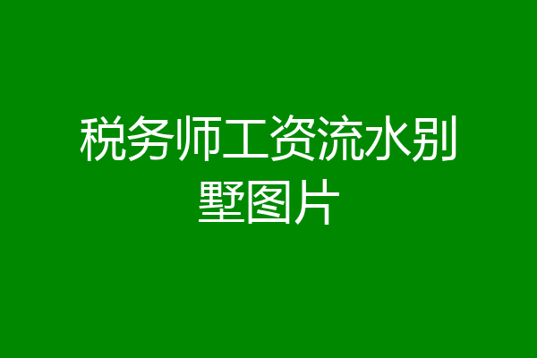 税务师工资流水别墅图片