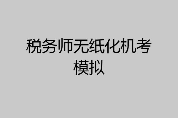 税务师无纸化机考模拟