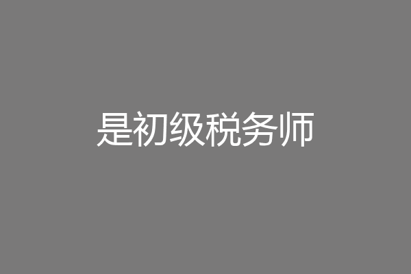 是初级税务师