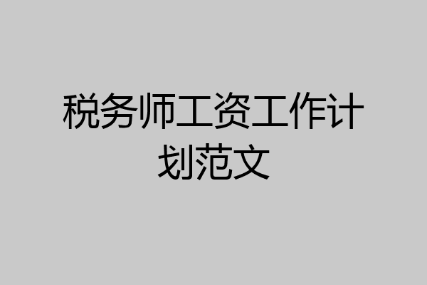 税务师工资工作计划范文