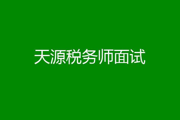 天源税务师面试