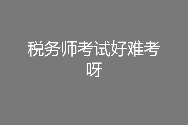 税务师考试好难考呀