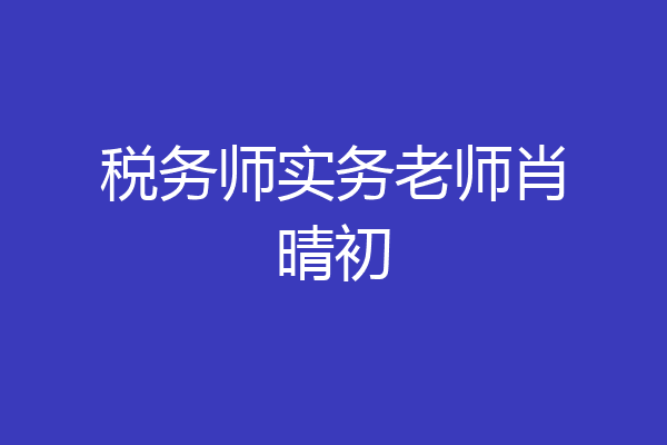 税务师实务老师肖晴初