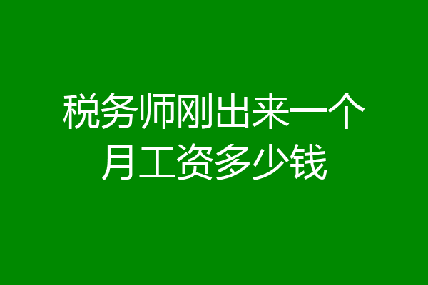 税务师刚出来一个月工资多少钱