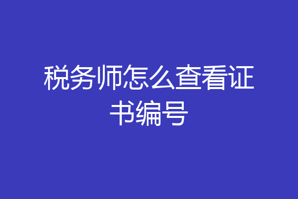 税务师怎么查看证书编号