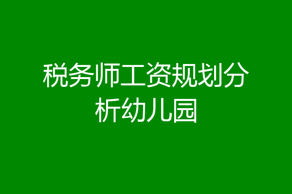 税务师工资规划分析幼儿园