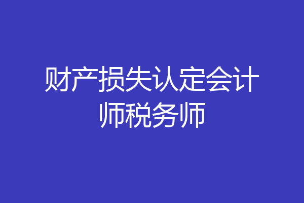 财产损失认定会计师税务师