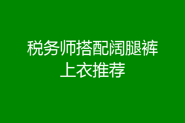 税务师搭配阔腿裤上衣推荐