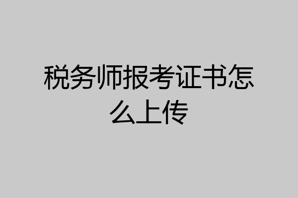 税务师报考证书怎么上传
