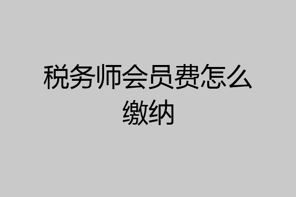 税务师会员费怎么缴纳
