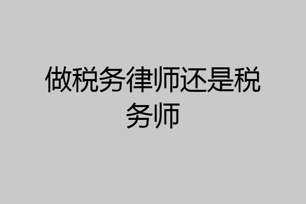 做税务律师还是税务师
