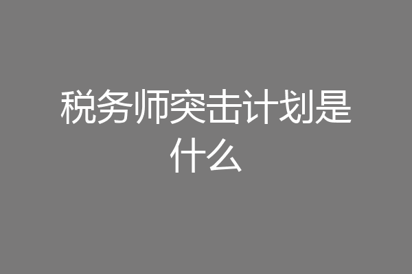税务师突击计划是什么