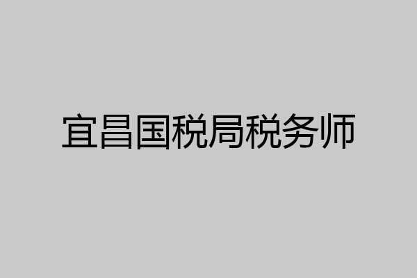 宜昌国税局税务师