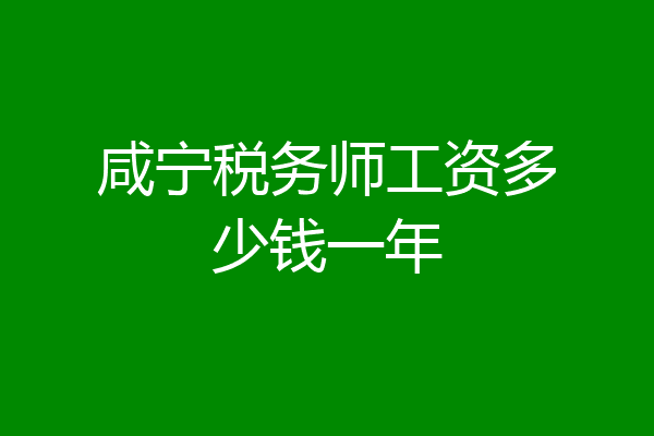 咸宁税务师工资多少钱一年