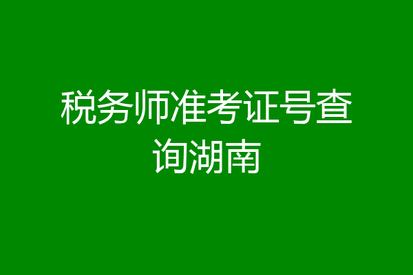 税务师准考证号查询湖南