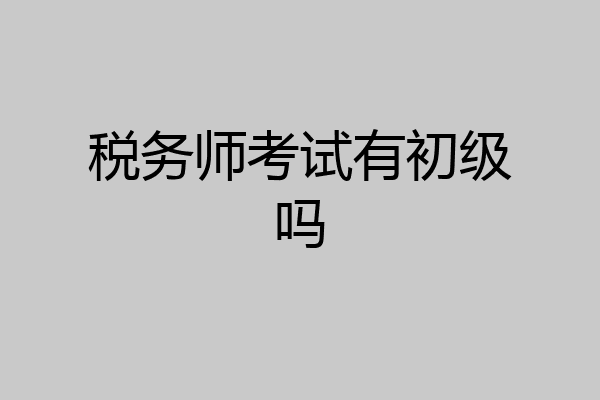 税务师考试有初级吗