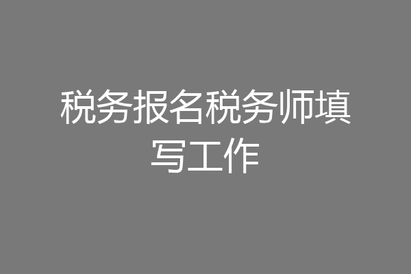 税务报名税务师填写工作