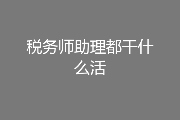 税务师助理都干什么活
