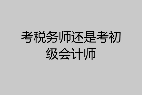 考税务师还是考初级会计师