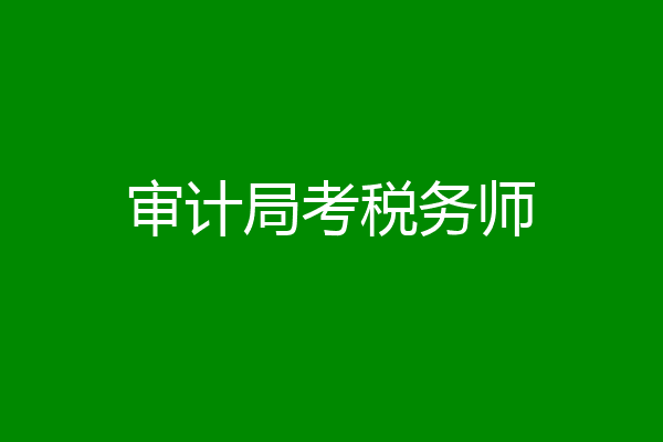 审计局考税务师
